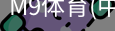 M9体育